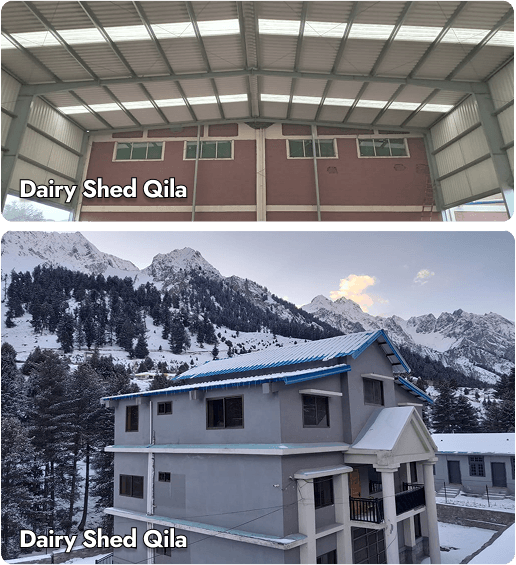 Dairy Shed Qila